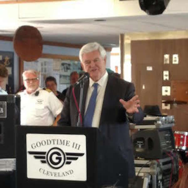 NEWT'S   ISIS  ELIMINATION  STRATEGY